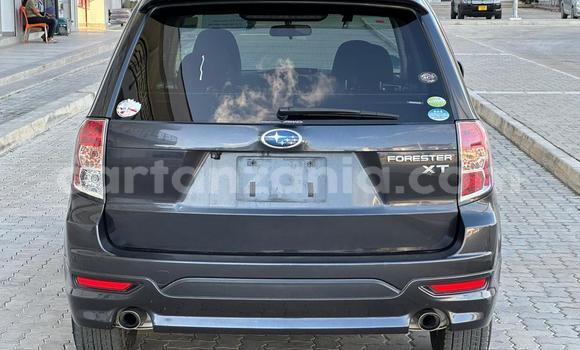 Buy Import Subaru Forester Black Car in Dar es Salaam in Dar es Salaam Buy Import Subaru Forester Black Car in Dar es Salaam in Dar es Salaam