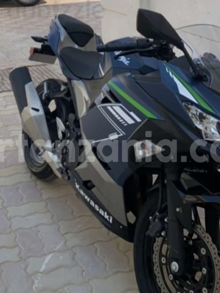 Big with watermark kawasaki ninja arusha arusha 22591