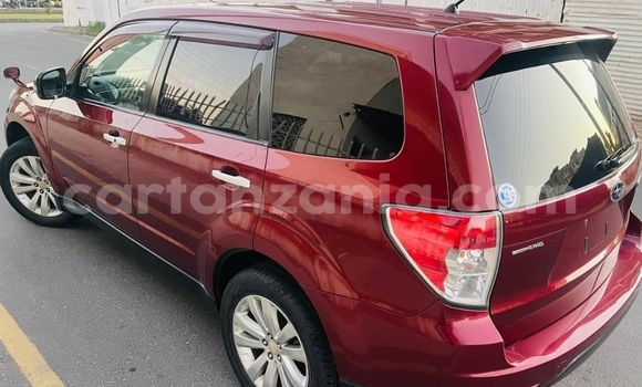 Nunua Ilio tumika Subaru Forester Nyekundu Gari ndani ya Dar es Salaam nchini Dar es Salaam Nunua Ilio tumika Subaru Forester Nyekundu Gari ndani ya Dar es Salaam nchini Dar es Salaam