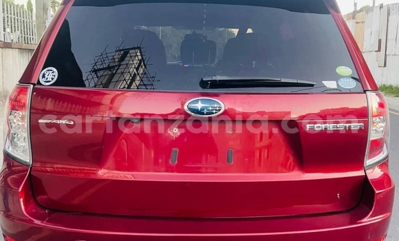 Nunua Ilio tumika Subaru Forester Nyekundu Gari ndani ya Dar es Salaam nchini Dar es Salaam Nunua Ilio tumika Subaru Forester Nyekundu Gari ndani ya Dar es Salaam nchini Dar es Salaam