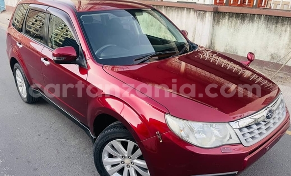 Nunua Ilio tumika Subaru Forester Nyekundu Gari ndani ya Dar es Salaam nchini Dar es Salaam Nunua Ilio tumika Subaru Forester Nyekundu Gari ndani ya Dar es Salaam nchini Dar es Salaam