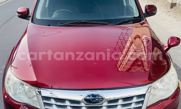 Nunua Ilio tumika Subaru Forester Nyekundu Gari ndani ya Dar es Salaam nchini Dar es Salaam Nunua Ilio tumika Subaru Forester Nyekundu Gari ndani ya Dar es Salaam nchini Dar es Salaam