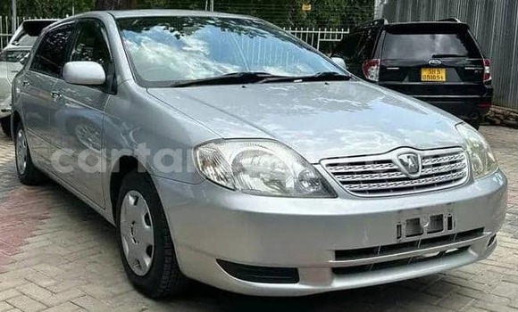 Nunua Mpya Toyota Allex Fedha Gari ndani ya Dar es Salaam nchini Dar es Salaam Nunua Mpya Toyota Allex Fedha Gari ndani ya Dar es Salaam nchini Dar es Salaam