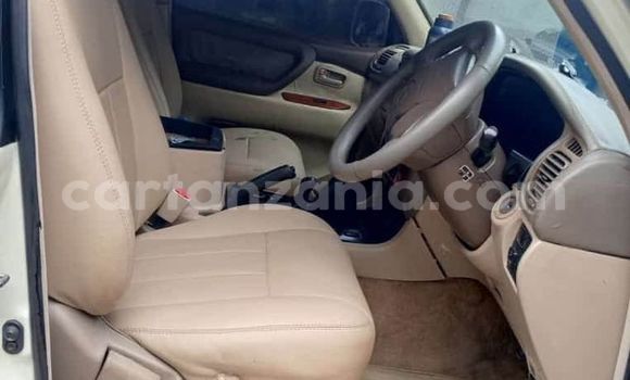 Buy Used AMC Hornet Other Car in Dar es Salaam in Dar es Salaam