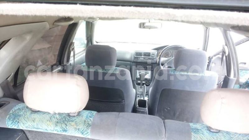 Big with watermark 50481821 2094063837306140 5989346772038713344 n