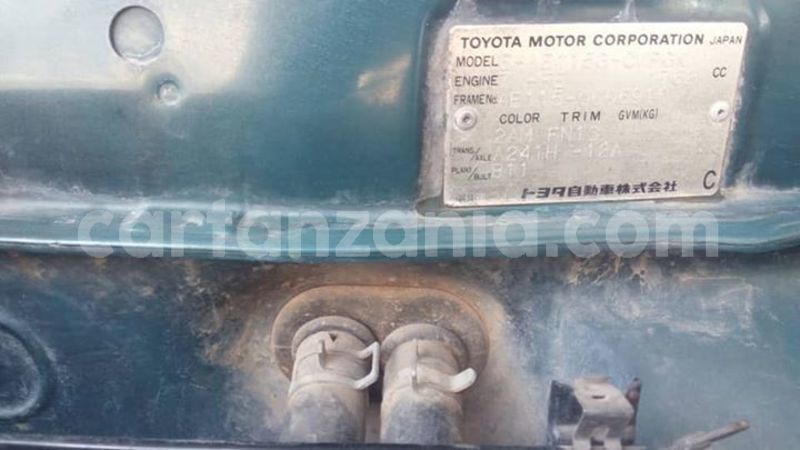 Big with watermark 50644893 2094063850639472 6810786029339934720 n