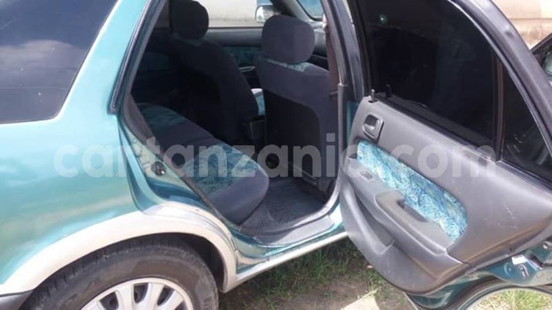 Big with watermark 50269278 2094063947306129 7534062035269582848 n