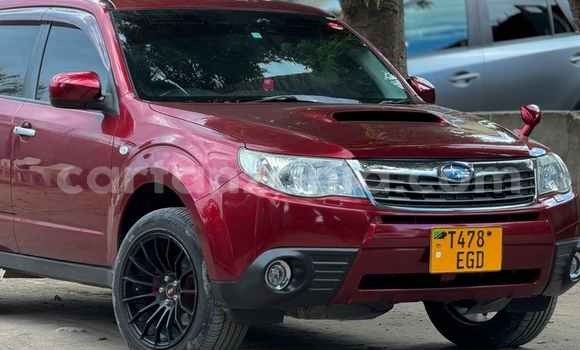Buy Used Subaru Forester Red Car in Dar es Salaam in Dar es Salaam Buy Used Subaru Forester Red Car in Dar es Salaam in Dar es Salaam