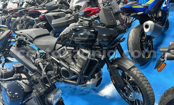 Buy Used Harley Davidson S Black Bike in Arusha in Arusha