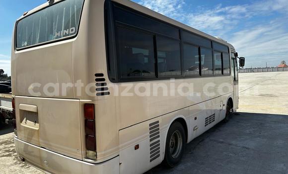 Buy New Hino 300 Series Beige Truck in Dar es Salaam in Dar es Salaam Buy New Hino 300 Series Beige Truck in Dar es Salaam in Dar es Salaam