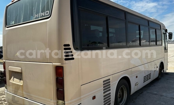 Buy New Hino 300 Series Beige Truck in Dar es Salaam in Dar es Salaam Buy New Hino 300 Series Beige Truck in Dar es Salaam in Dar es Salaam