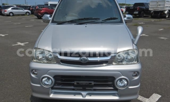 Buy Import Daihatsu Terios Silver Car in Dar es Salaam in Dar es Salaam