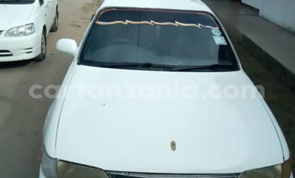 Buy Used Toyota Corolla White Car in Dar es Salaam in Dar es Salaam Buy Used Toyota Corolla White Car in Dar es Salaam in Dar es Salaam