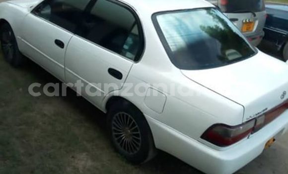Buy Used Toyota Corolla White Car in Dar es Salaam in Dar es Salaam Buy Used Toyota Corolla White Car in Dar es Salaam in Dar es Salaam