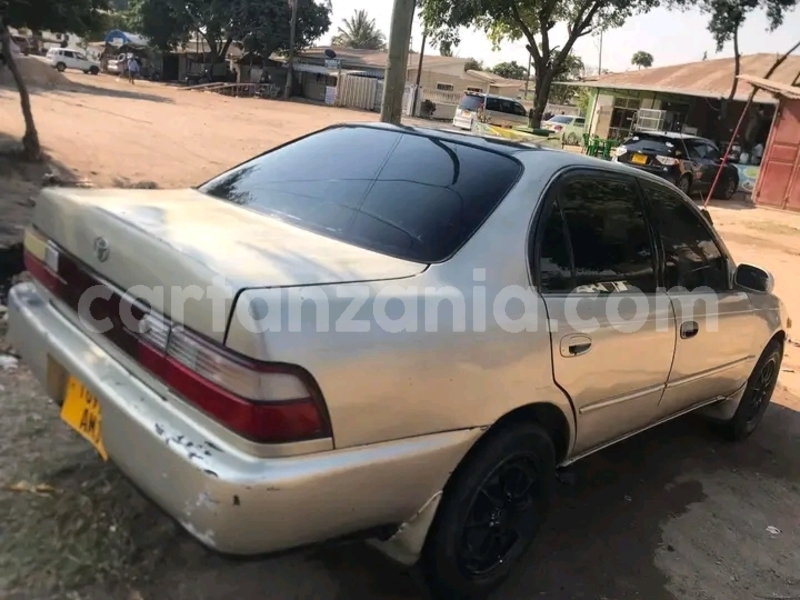 Big with watermark toyota corolla kigoma buhigwe 23006