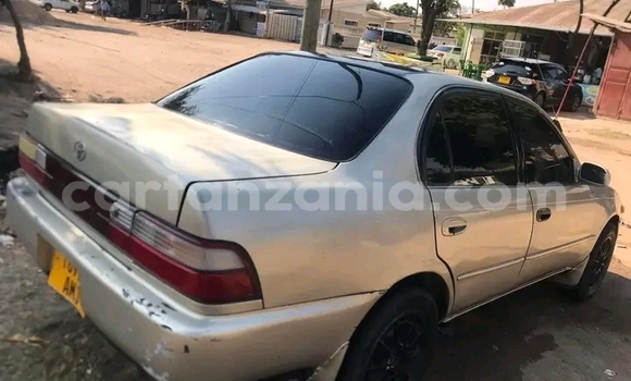 Nunua Ilio tumika Toyota Corolla Nyingine Gari ndani ya Buhigwe nchini Kigoma Nunua Ilio tumika Toyota Corolla Nyingine Gari ndani ya Buhigwe nchini Kigoma