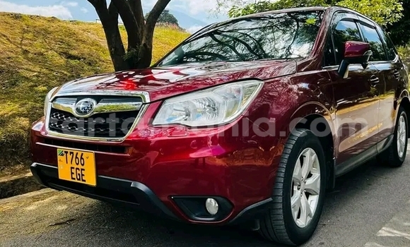Nunua Ilio tumika Subaru Forester Nyekundu Gari ndani ya Biharamulo nchini Kagera Nunua Ilio tumika Subaru Forester Nyekundu Gari ndani ya Biharamulo nchini Kagera