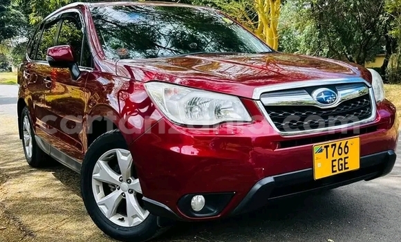 Nunua Ilio tumika Subaru Forester Nyekundu Gari ndani ya Biharamulo nchini Kagera Nunua Ilio tumika Subaru Forester Nyekundu Gari ndani ya Biharamulo nchini Kagera