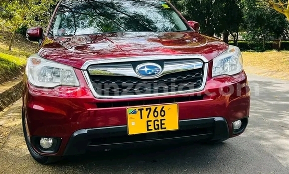 Nunua Ilio tumika Subaru Forester Nyekundu Gari ndani ya Biharamulo nchini Kagera Nunua Ilio tumika Subaru Forester Nyekundu Gari ndani ya Biharamulo nchini Kagera