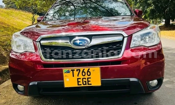 Nunua Ilio tumika Subaru Forester Nyekundu Gari ndani ya Biharamulo nchini Kagera Nunua Ilio tumika Subaru Forester Nyekundu Gari ndani ya Biharamulo nchini Kagera
