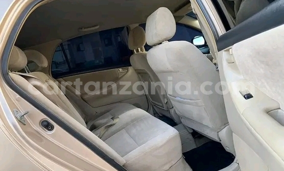 Buy Used Toyota Runx Silver Car in Chato in Geita Buy Used Toyota Runx Silver Car in Chato in Geita