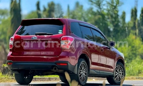 Buy Used Subaru Forester Red Car in Buhigwe in Kigoma Buy Used Subaru Forester Red Car in Buhigwe in Kigoma