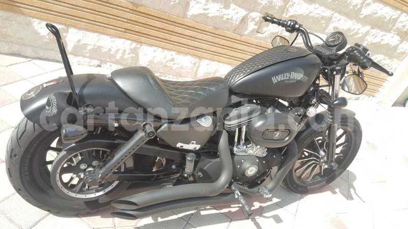 Big with watermark harley davidson iron arusha arusha 23264