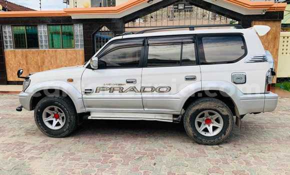 Nunua Ilio tumika Toyota Prado Nyeupe Gari ndani ya Bariadi nchini Simiyu Nunua Ilio tumika Toyota Prado Nyeupe Gari ndani ya Bariadi nchini Simiyu