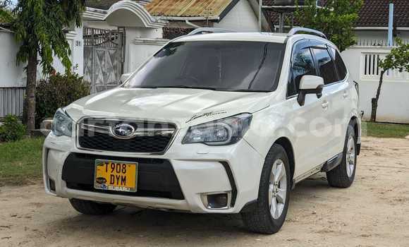 Nunua Ilio tumika Subaru Forester Nyeupe Gari ndani ya Babati Mjini nchini Manyara Nunua Ilio tumika Subaru Forester Nyeupe Gari ndani ya Babati Mjini nchini Manyara