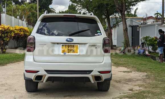 Nunua Ilio tumika Subaru Forester Nyeupe Gari ndani ya Babati Mjini nchini Manyara Nunua Ilio tumika Subaru Forester Nyeupe Gari ndani ya Babati Mjini nchini Manyara