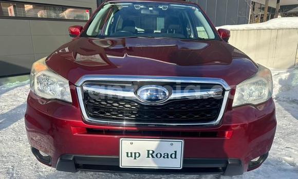 Buy Import Subaru Forester Red Car in Dar es Salaam in Dar es Salaam
