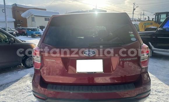 Nunua Imported Subaru Forester Nyekundu Gari ndani ya Dar es Salaam nchini Dar es Salaam Nunua Imported Subaru Forester Nyekundu Gari ndani ya Dar es Salaam nchini Dar es Salaam