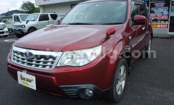Buy Import Subaru Forester Red Car in Dar es Salaam in Dar es Salaam