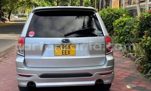 Nunua Ilio tumika Subaru Forester Nyingine Gari ndani ya Dar es Salaam nchini Dar es Salaam Nunua Ilio tumika Subaru Forester Nyingine Gari ndani ya Dar es Salaam nchini Dar es Salaam