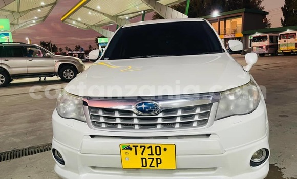 Nunua Ilio tumika Subaru Forester Nyeupe Gari ndani ya Dar es Salaam nchini Dar es Salaam Nunua Ilio tumika Subaru Forester Nyeupe Gari ndani ya Dar es Salaam nchini Dar es Salaam