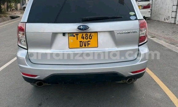 Buy Used Subaru Forester Silver Car in Dar es Salaam in Dar es Salaam