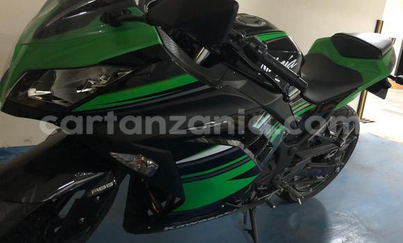 Buy Used Kawasaki Ninja Green Bike in Arusha in Arusha