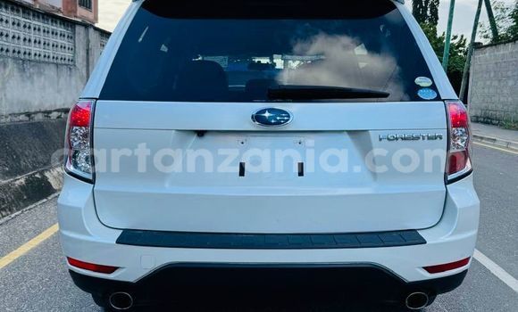 Nunua Imported Subaru Forester Nyeupe Gari ndani ya Dar es Salaam nchini Dar es Salaam Nunua Imported Subaru Forester Nyeupe Gari ndani ya Dar es Salaam nchini Dar es Salaam