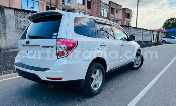 Nunua Imported Subaru Forester Nyeupe Gari ndani ya Dar es Salaam nchini Dar es Salaam Nunua Imported Subaru Forester Nyeupe Gari ndani ya Dar es Salaam nchini Dar es Salaam