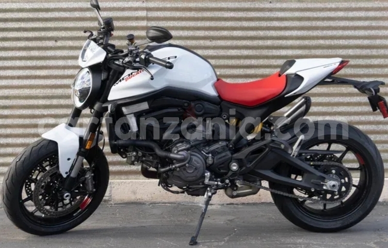 Big with watermark ducati monster arusha arusha 23707