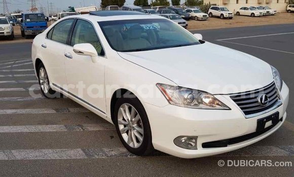 Nunua Imported Lexus ES Nyeupe Gari ndani ya Import - Dubai nchini Arusha Nunua Imported Lexus ES Nyeupe Gari ndani ya Import - Dubai nchini Arusha