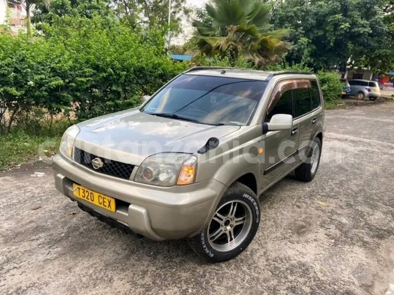 Big with watermark nissan xterra kagera biharamulo 23912