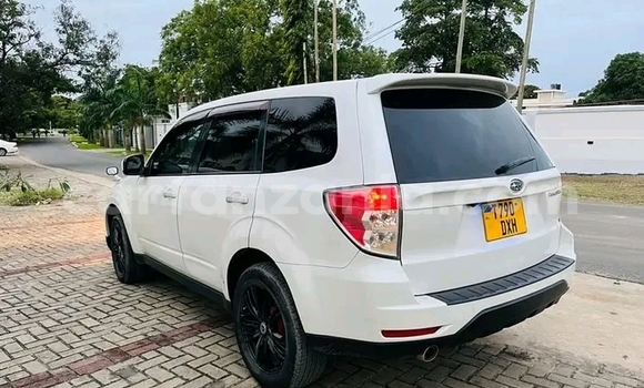 Buy Used Subaru Forester White Car in Buhigwe in Kigoma Buy Used Subaru Forester White Car in Buhigwe in Kigoma