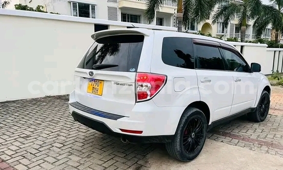 Buy Used Subaru Forester White Car in Buhigwe in Kigoma Buy Used Subaru Forester White Car in Buhigwe in Kigoma
