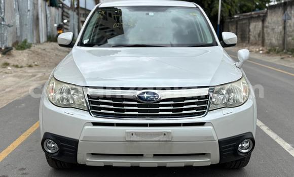 Buy Import Subaru Forester White Car in Dar es Salaam in Dar es Salaam Buy Import Subaru Forester White Car in Dar es Salaam in Dar es Salaam