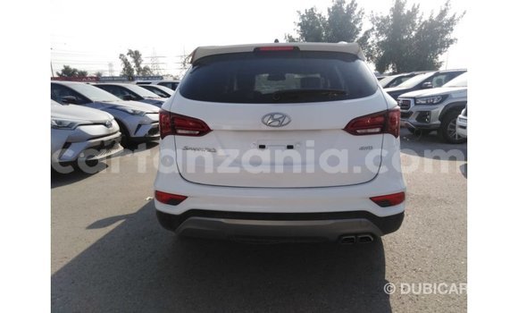Buy Import Hyundai Santa Fe White Car in Import - Dubai in Arusha