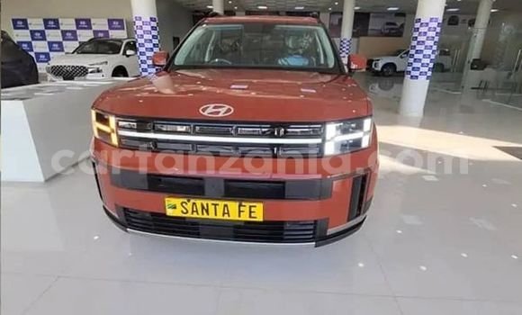 Buy Used Hyundai Santa Fe Other Car in Bahi in Dodoma Buy Used Hyundai Santa Fe Other Car in Bahi in Dodoma
