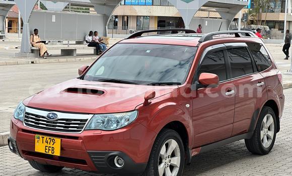 Nunua Ilio tumika Subaru Forester Nyingine Gari ndani ya Dar es Salaam nchini Dar es Salaam Nunua Ilio tumika Subaru Forester Nyingine Gari ndani ya Dar es Salaam nchini Dar es Salaam