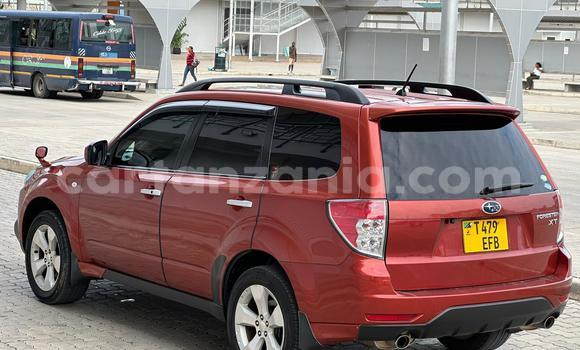 Nunua Ilio tumika Subaru Forester Nyingine Gari ndani ya Dar es Salaam nchini Dar es Salaam Nunua Ilio tumika Subaru Forester Nyingine Gari ndani ya Dar es Salaam nchini Dar es Salaam