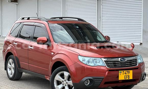 Nunua Ilio tumika Subaru Forester Nyingine Gari ndani ya Dar es Salaam nchini Dar es Salaam Nunua Ilio tumika Subaru Forester Nyingine Gari ndani ya Dar es Salaam nchini Dar es Salaam
